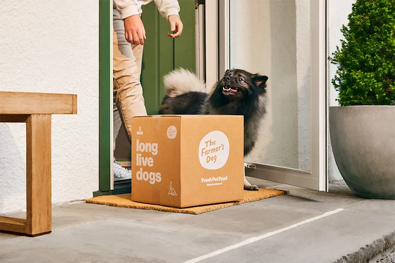Cajas corrugadas de suscripción para mascotas Viral-Ready Unboxing